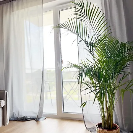 Lägenhet Studio 49 Tarczyn (Piaseczno)